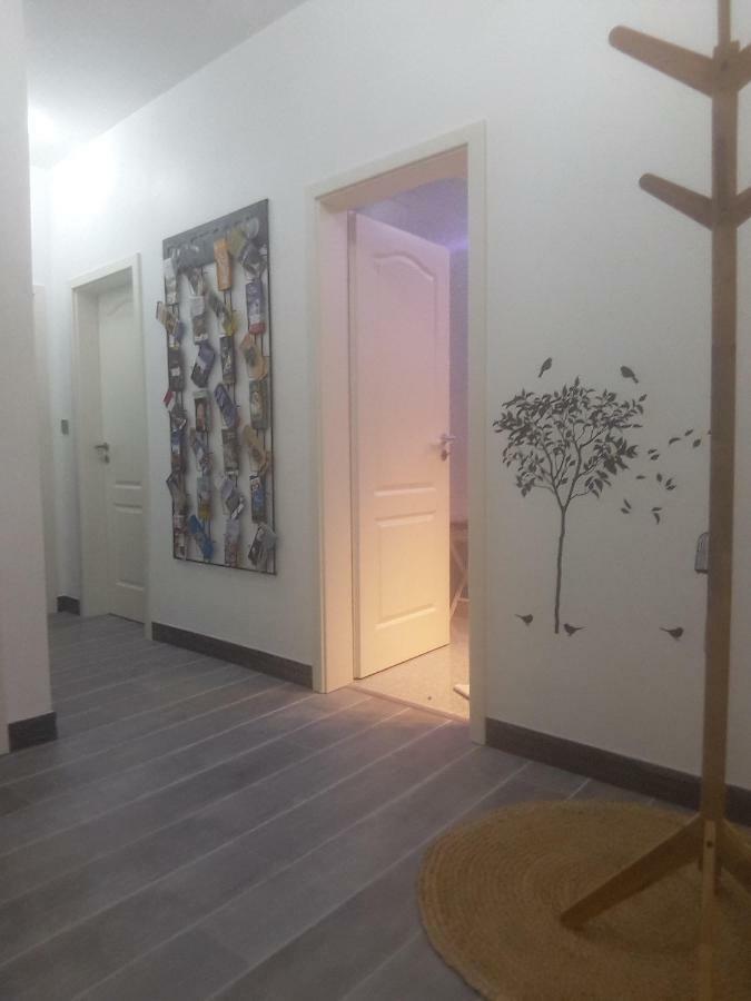 Chez Moera -Sur la Route Des Vins - Kaysersberg Appartement Buitenkant foto